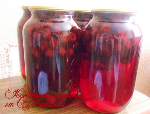 Ежевика на зиму. Как приготовить натуральный сок из ежевики: