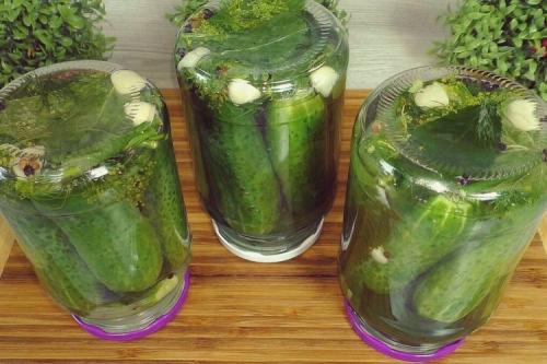 Какое количество соли лучше использовать для маринования огурцов. 15 отличных рецептов маринада для огурцов на зиму