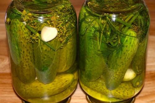 Какое количество соли лучше использовать для маринования огурцов. 15 отличных рецептов маринада для огурцов на зиму