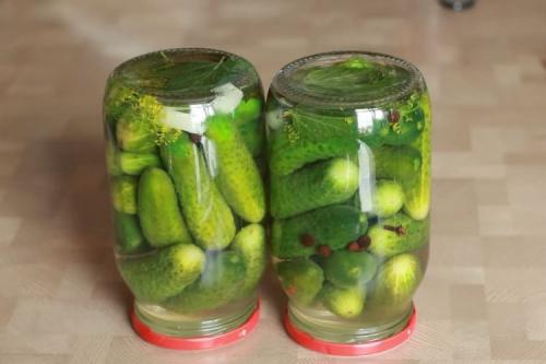 Какое количество соли лучше использовать для маринования огурцов. 15 отличных рецептов маринада для огурцов на зиму