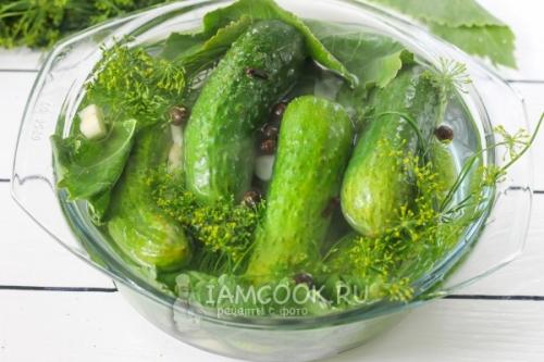 Маринованные огурцы быстрого приготовления: простой рецепт для начинающих 04 Маринованные огурцы быстрого приготовления: простой рецепт для начинающих 04