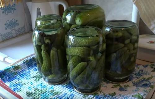 8 отличных рецептов вкусных маринованных огурцов. Маринованные огурцы хрустящие без стерилизации: очень вкусный рецепт