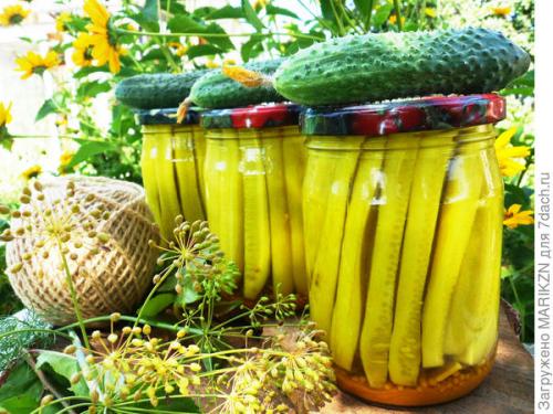 Можно ли добавить в маринованные огурцы необычные ингредиенты, такие, как чеснок или горчица. Закусочные огурцы с куркумой и горчицей в зернах на зиму