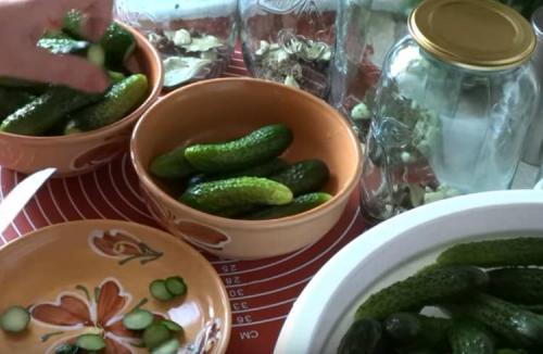 8 отличных рецептов вкусных маринованных огурцов. Маринованные огурцы хрустящие без стерилизации: очень вкусный рецепт