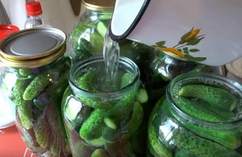 8 отличных рецептов вкусных маринованных огурцов. Маринованные огурцы хрустящие без стерилизации: очень вкусный рецепт