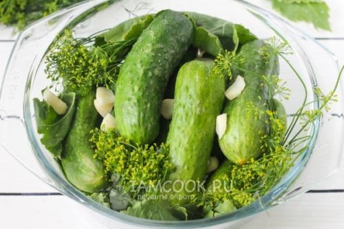 Маринованные огурцы быстрого приготовления: простой рецепт для начинающих 03 Маринованные огурцы быстрого приготовления: простой рецепт для начинающих 03
