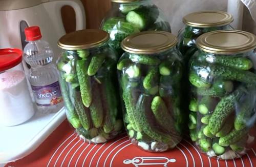 8 отличных рецептов вкусных маринованных огурцов. Маринованные огурцы хрустящие без стерилизации: очень вкусный рецепт