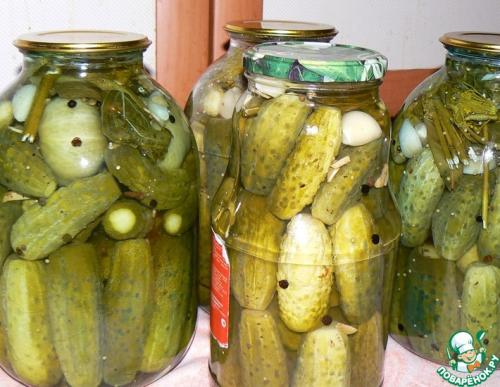 Какие ингредиенты лучше всего использовать для маринования огурцов без стерилизации. Маринованные огурцы без стерилизации