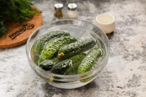 Какие варианты рецептов маринованных огурцов без стерилизации существуют. Огурчики на зиму без стерилизации