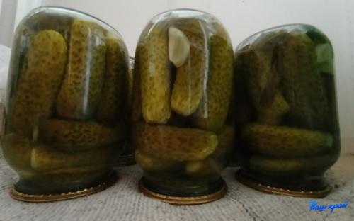 Консервированные огурцы на зиму: простой пошаговый рецепт для начинающих 01 Консервированные огурцы на зиму: простой пошаговый рецепт для начинающих 01