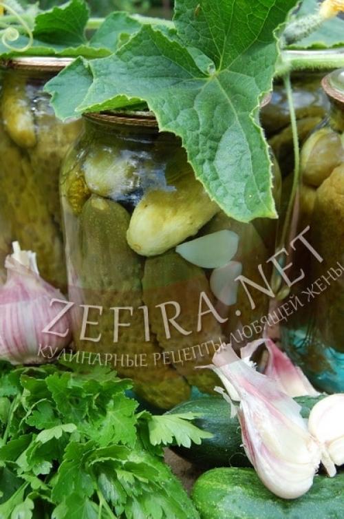 Огурцы маринованные с эссенцией на зиму: простые и вкусные рецепты 01 Огурцы маринованные с эссенцией на зиму: простые и вкусные рецепты 01