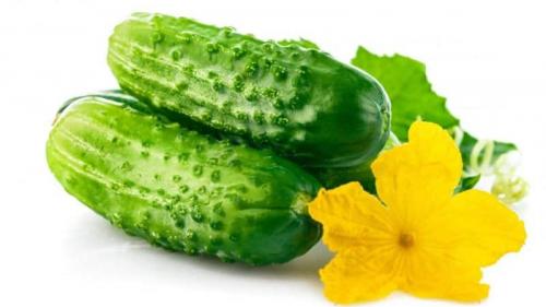 Можно ли использовать яблочный уксус вместо столового для консервирования огурцов. Можно ли солить огурцы с яблочным уксусом на зиму и как это сделать правильно