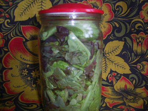 Как сохранить витамины салатных листьев при заготовке на зиму. ЗАГОТОВКИ НА ЗИМУ - КАК СОХРАНИТЬ ЗЕЛЕНЬ САЛАТА!