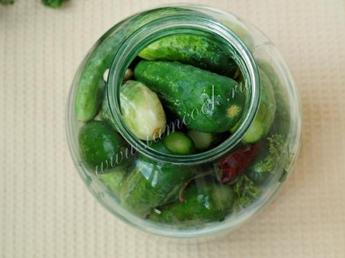 Традиционные шпики: как я начала мариновать огурцы по старому рецепту 06 Традиционные шпики: как я начала мариновать огурцы по старому рецепту 06