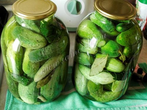 Традиционные шпики: как я начала мариновать огурцы по старому рецепту 07 Традиционные шпики: как я начала мариновать огурцы по старому рецепту 07