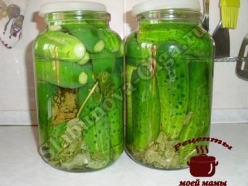 Как хранить маринованные огурцы, приготовленные без закатки. Маринованные огурцы без закатки
