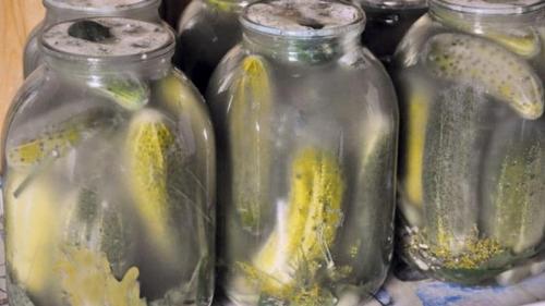 Как избежать появления плесени при мариновании огурцов без закатки. Почему могла появиться плесень на соленых огурцах и что с этим делать