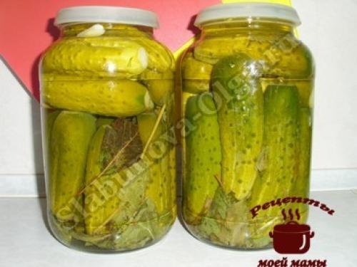 Как хранить маринованные огурцы, приготовленные без закатки. Маринованные огурцы без закатки