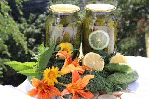 Какие специи лучше всего подходят для маринования резаных огурцов. Огурцы дольками на зиму: 12 самых вкусных рецептов