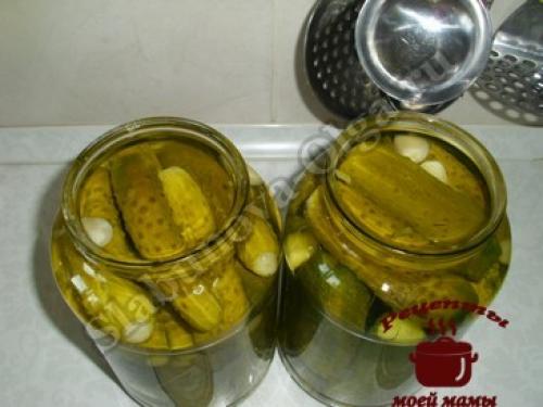 Как хранить маринованные огурцы, приготовленные без закатки. Маринованные огурцы без закатки