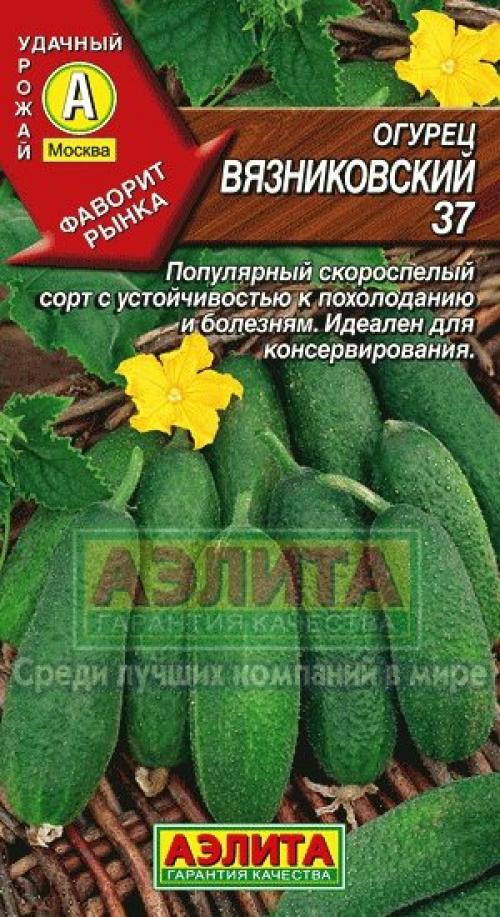 Лучшие рецепты маринованных огурцов на зиму: проверенные варианты для домашнего консервирования 01 Лучшие рецепты маринованных огурцов на зиму: проверенные варианты для домашнего консервирования 01