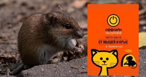 Какие методы борьбы с мышами в огороде считаются безопасными для растений и животных. Химические методы борьбы с мышами