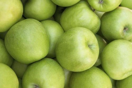 Как ухаживать за колонновидной яблоней сорта Президент. Уход за колоновидной яблоней Президент