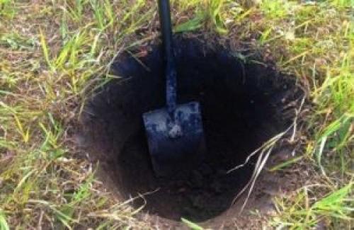 Как правильно выкопать ямку для посадки яблонь. Советы, как подготовить яму для посадки яблони