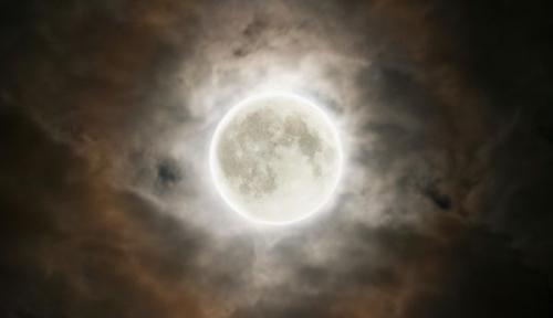 Когда убирать свеклу. Когда убирать урожай свеклы: оптимальные сроки