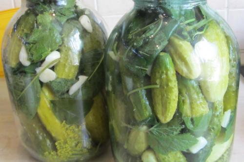 Как приготовить соленые огурцы с необычными ингредиентами. Огурцы на зиму — рецепты с интересным способом приготовления и необычными ингредиентами