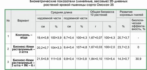 Янтарная кислота: секреты ее применения в саду и огороде 04 Янтарная кислота: секреты ее применения в саду и огороде 04