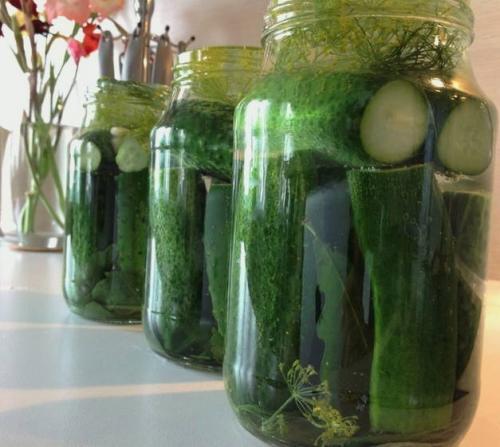 Сколько времени требуется для маринования огурцов в литровых банках. Хрустящие маринованные огурцы на зиму – рецепт на 1 литр