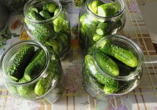 Сколько времени требуется для маринования огурцов в литровых банках. Хрустящие маринованные огурцы на зиму – рецепт на 1 литр