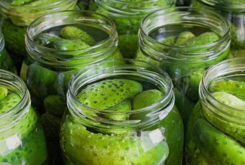 Сколько времени требуется для маринования огурцов в литровых банках. Хрустящие маринованные огурцы на зиму – рецепт на 1 литр