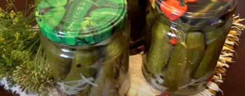 Можно ли использовать другие специи или приправы в болгарском рецепте огурцов. Огурцы по-болгарски на зиму: самые вкусные рецепты