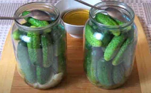 Можно ли использовать другие специи или приправы в болгарском рецепте огурцов. Огурцы по-болгарски на зиму: самые вкусные рецепты