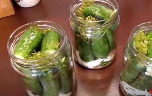 Можно ли использовать другие специи или приправы в болгарском рецепте огурцов. Огурцы по-болгарски на зиму: самые вкусные рецепты