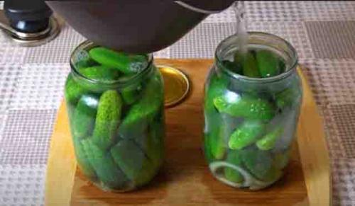 Можно ли использовать другие специи или приправы в болгарском рецепте огурцов. Огурцы по-болгарски на зиму: самые вкусные рецепты