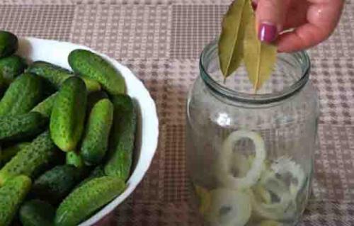 Можно ли использовать другие специи или приправы в болгарском рецепте огурцов. Огурцы по-болгарски на зиму: самые вкусные рецепты