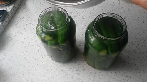 Какой рецепт маринованных огурцов на зиму считается лучшим. Самый вкусный рецепт консервированных огурцов на зиму на 1 литр