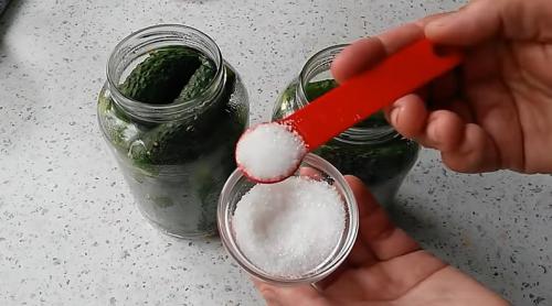 Какой рецепт маринованных огурцов на зиму считается лучшим. Самый вкусный рецепт консервированных огурцов на зиму на 1 литр