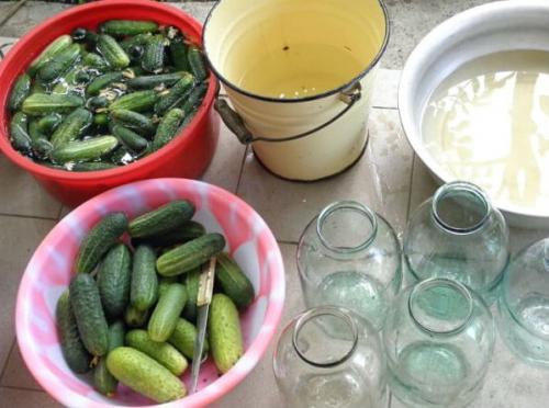 Сколько времени требуется для приготовления маринованных огурцов на 1 литр. Маринованные и хрустящие огурцы на зиму в банках