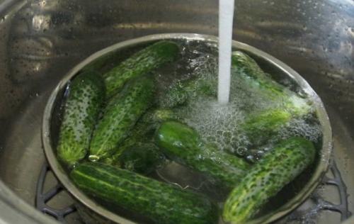 Огурцы маринованные на зиму рецепт на 1 литровую.. Огурцы на зиму в литровых банках