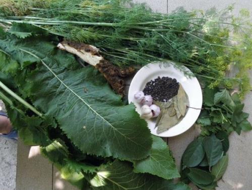 Сколько времени требуется для приготовления маринованных огурцов на 1 литр. Маринованные и хрустящие огурцы на зиму в банках