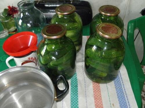 Сколько времени требуется для приготовления маринованных огурцов на 1 литр. Маринованные и хрустящие огурцы на зиму в банках