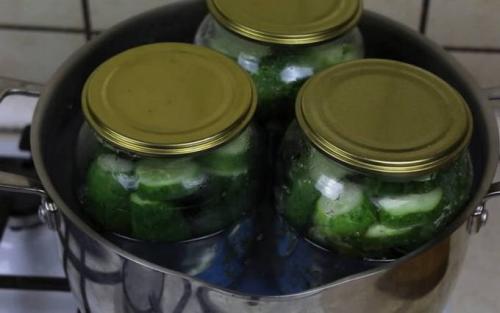 Огурцы маринованные на зиму рецепт на 1 литровую.. Огурцы на зиму в литровых банках