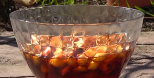 Лук севок на зелень. Как подготовить лук севок к посадке весной на репу