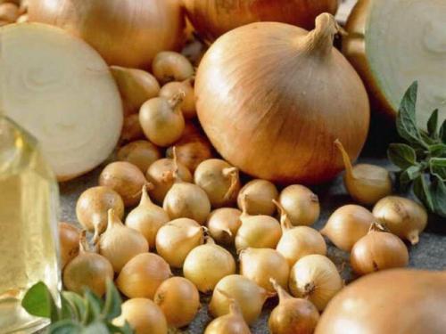 Какой лук-севок лучше сажать. Лук севок — название и описание лучших сортов (с отзывами садоводов)
