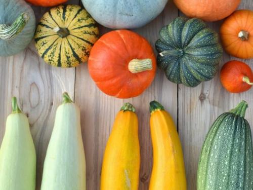 Тыква длинная, как кабачок. Тыква в форме кабачка