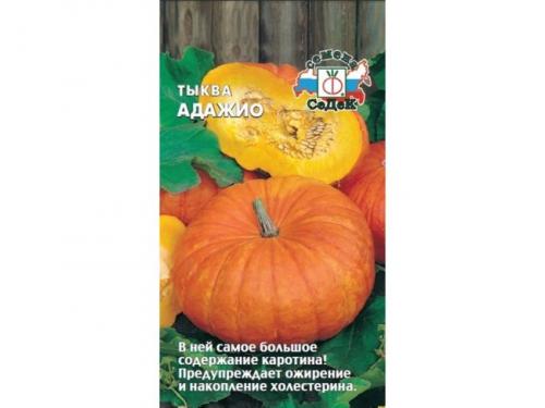 Тыква миндальная. Лучшие сорта тыквы мускатного, твердокорого и крупноплодного вида
